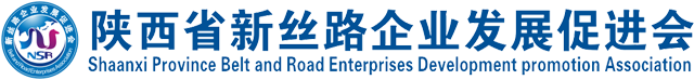 Shaanxi New Silk Road Enterprise Association