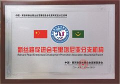 Mauritania Branch of the Belt and Road Promotion Association