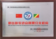 Congo Branch of the Belt and Road Promotion Association